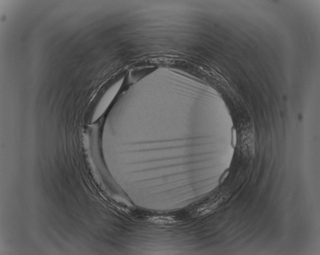 X0000084020508200703161743