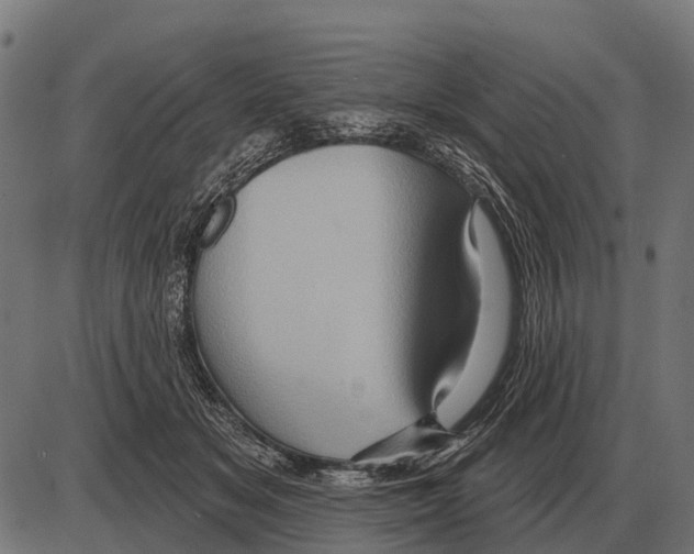 X0000084020509200703161743