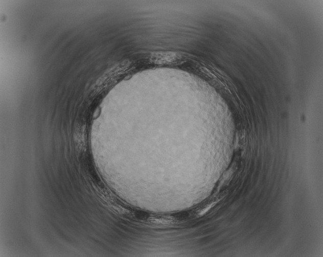 X0000084020510200703161743