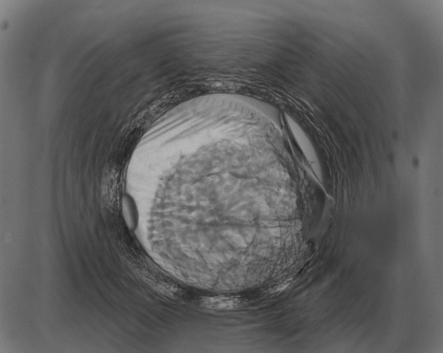 X0000084020511200703161743