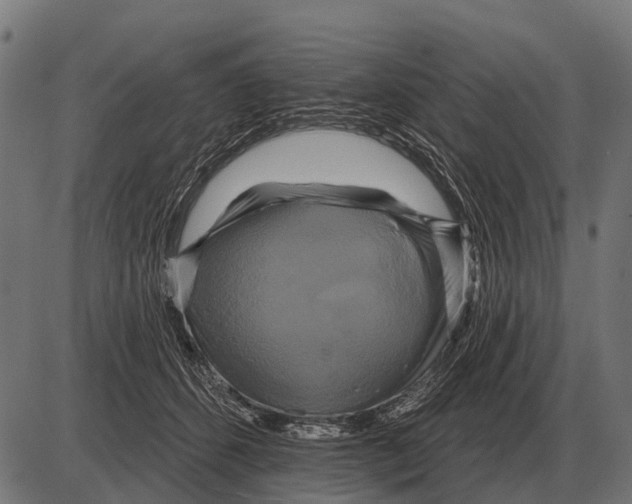 X0000084020512200703161743