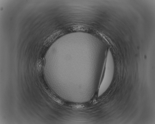 X0000084020513200703161743