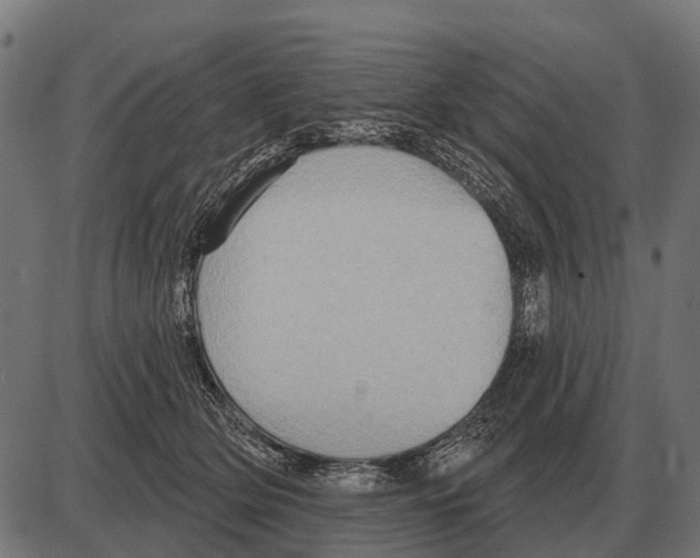 X0000084020514200703161743