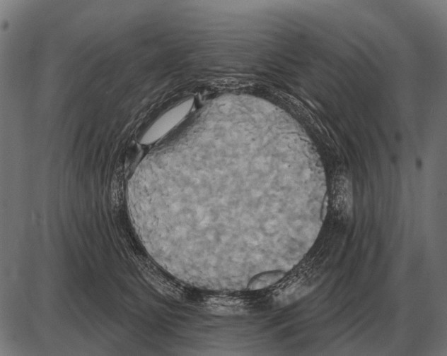 X0000084020515200703161743