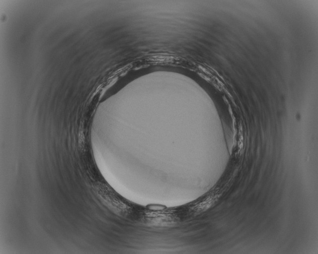 X0000084020516200703161743