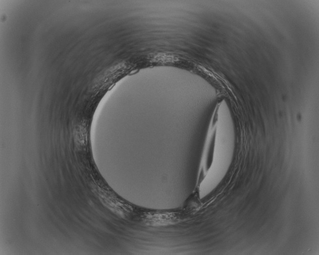 X0000084020517200703161743