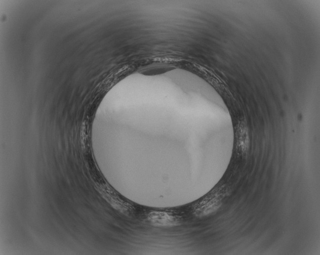 X0000084020519200703161743