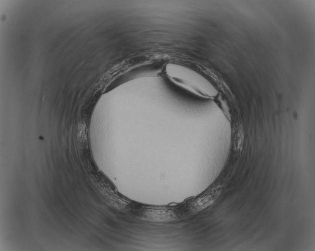 X0000084020521200703161743