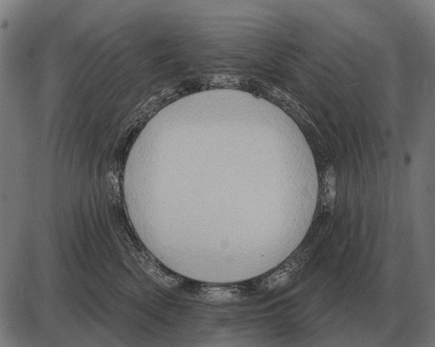 X0000084020522200703161743