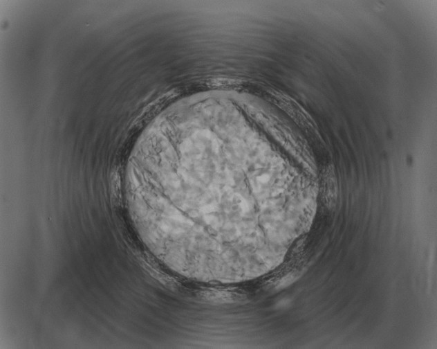 X0000084020523200703161743