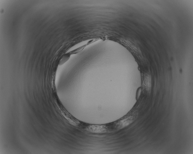 X0000084020526200703161743