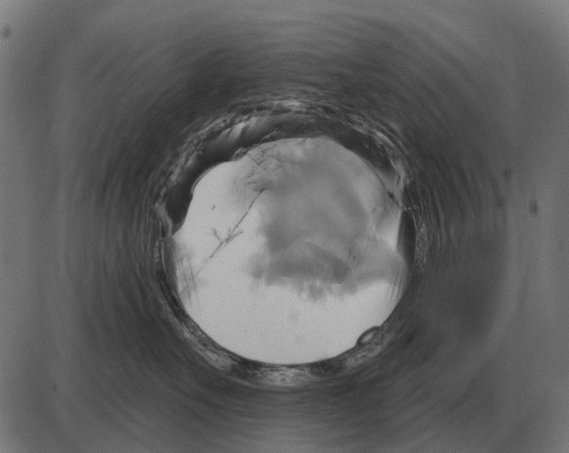 X0000084020527200703161742