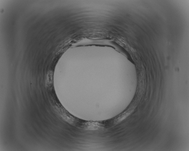 X0000084020528200703161742