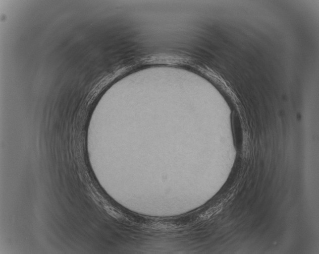 X0000084020529200703161742