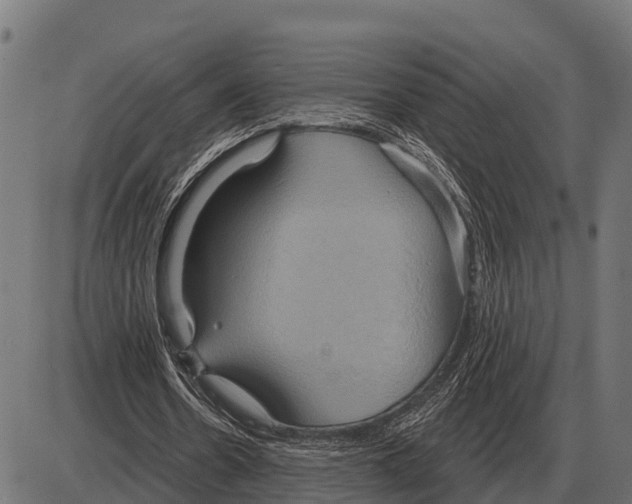 X0000084020530200703161742