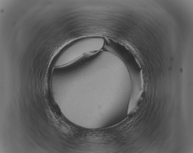 X0000084020532200703161742