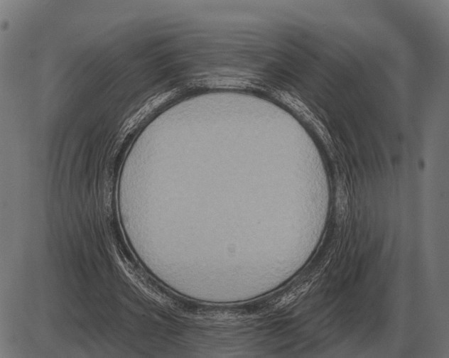 X0000084020533200703161742