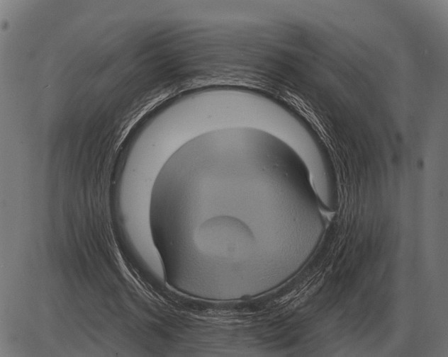 X0000084020534200703161742