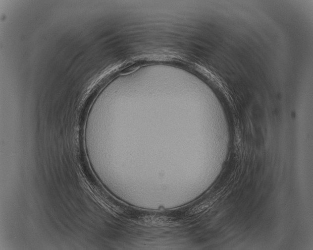 X0000084020535200703161742