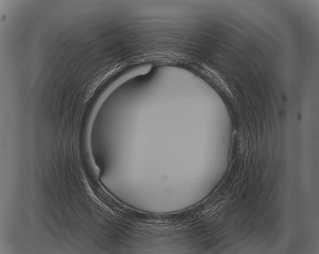 X0000084020538200703161742