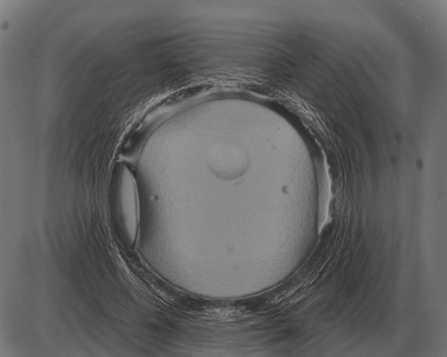 X0000084020540200703161742