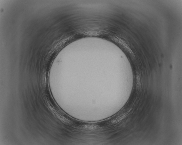 X0000084020541200703161742