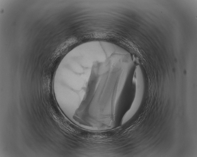 X0000084020542200703161742