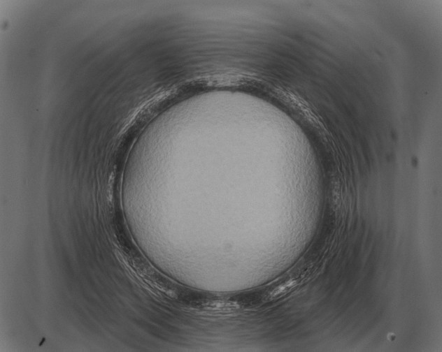 X0000084020543200703161742