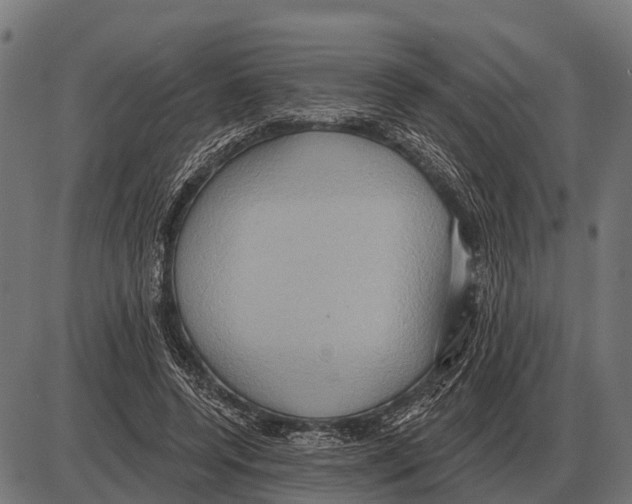 X0000084020544200703161742