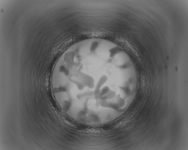 X0000084020545200703161742