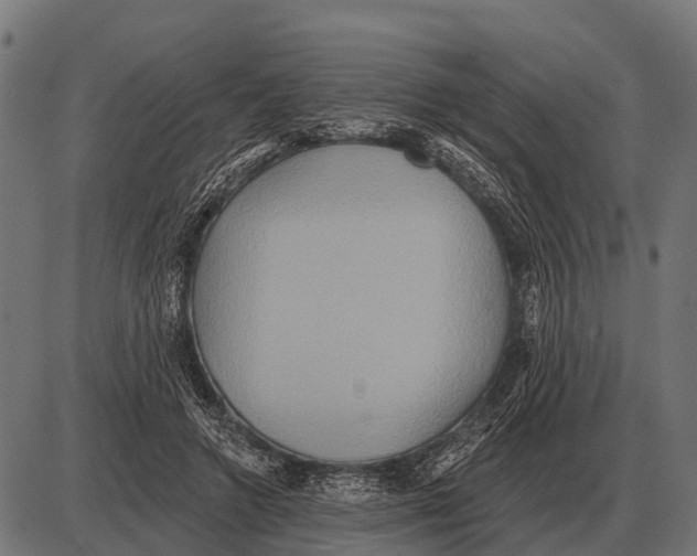 X0000084020546200703161742