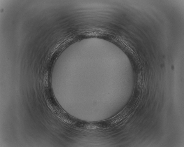 X0000084020547200703161742