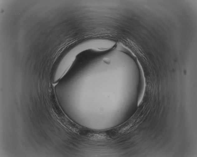 X0000084020548200703161742