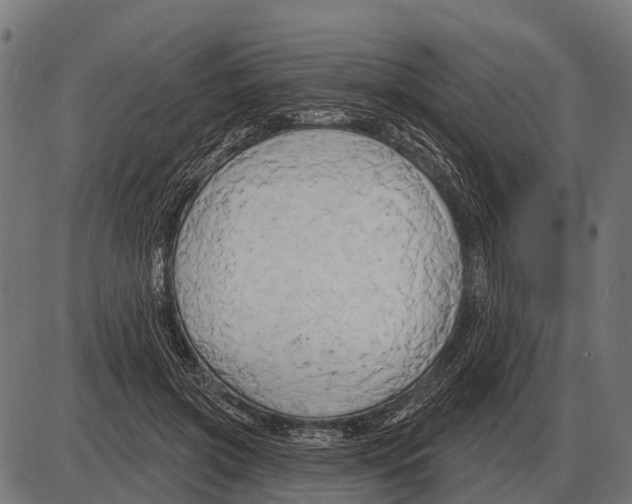 X0000084020549200703161742