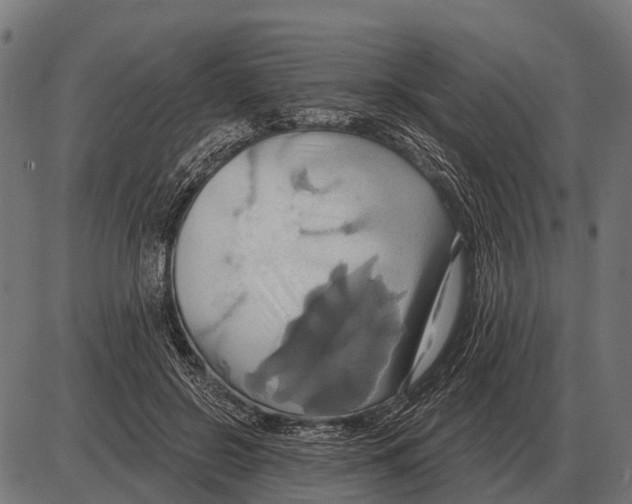 X0000084020550200703161742