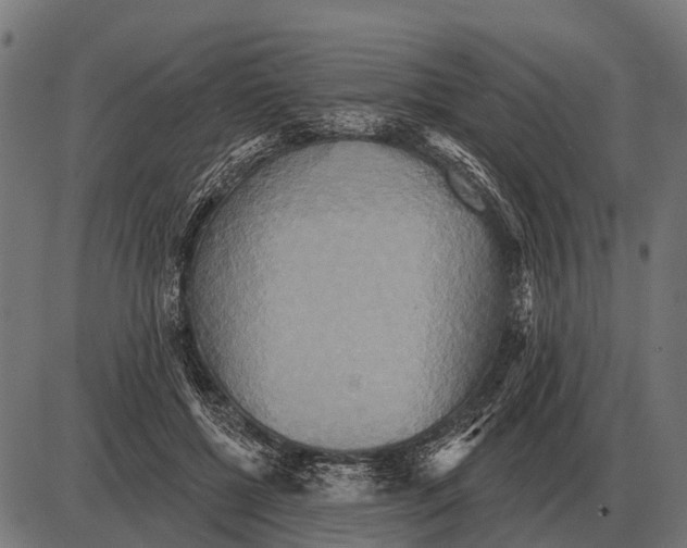 X0000084020552200703161742