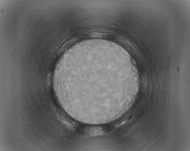 X0000084020554200703161742