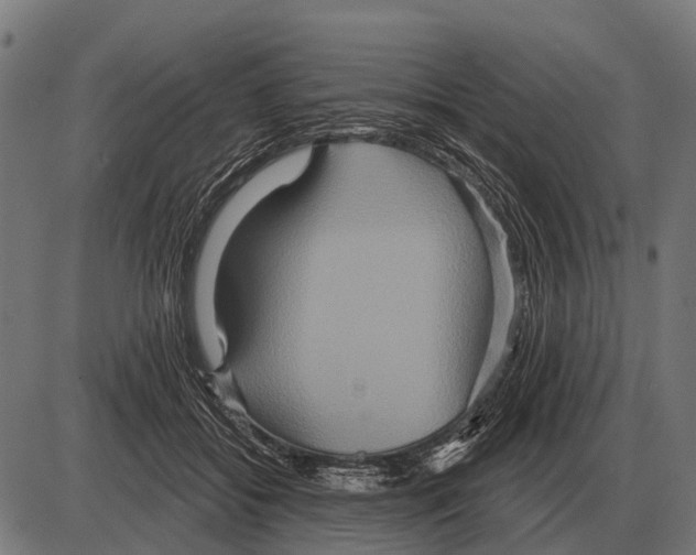 X0000084020556200703161742