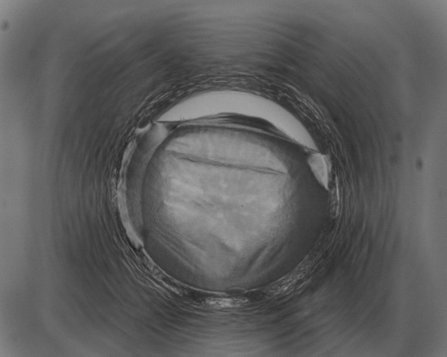 X0000084020558200703161742