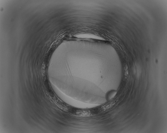 X0000084020559200703161742