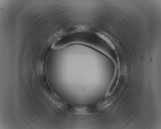 X0000084020560200703161742