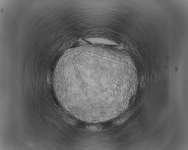 X0000084020561200703161742