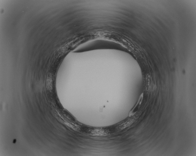 X0000084020562200703161742