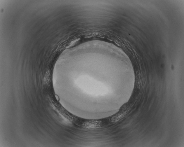 X0000084020563200703161742