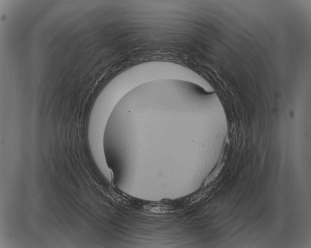 X0000084020564200703161742