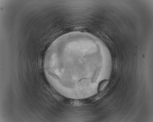 X0000084020565200703161742