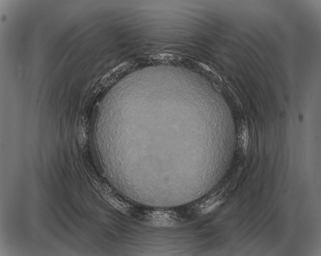 X0000084020566200703161742