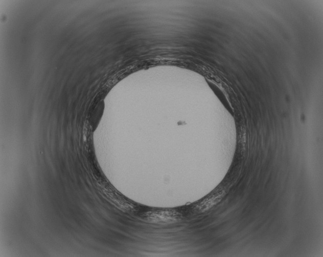 X0000084020567200703161742