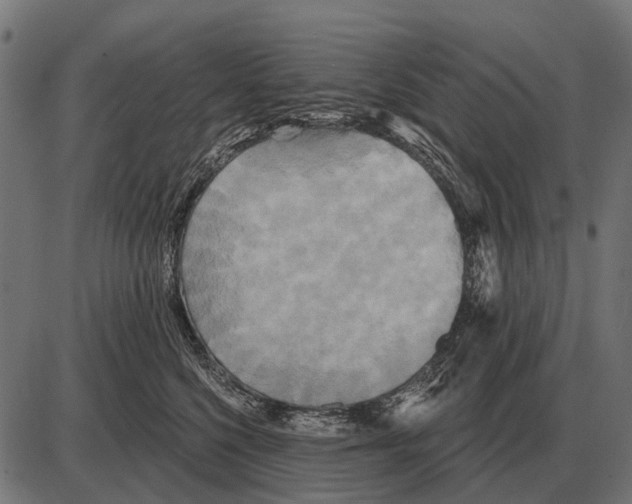 X0000084020568200703161742