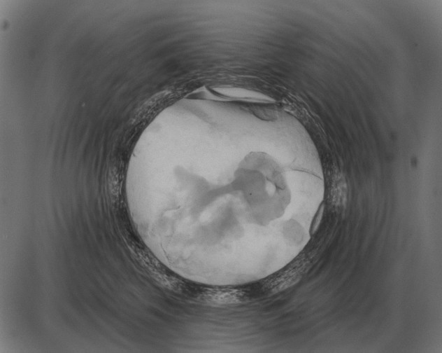 X0000084020569200703161742